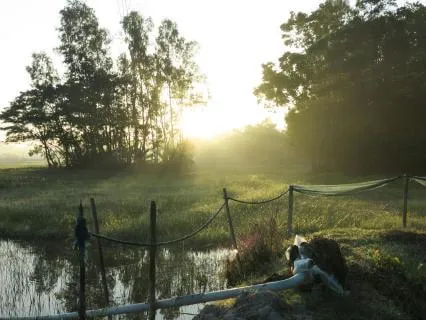 Gently Unfolding The Morning
