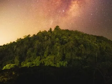 Gently Unwind: Sleep And Meditation Music