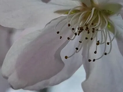 Physical Mindfulness, Fingers, Toes & Giant Figure Eights