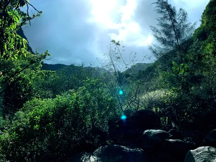 George Kahumoku And Kimo West