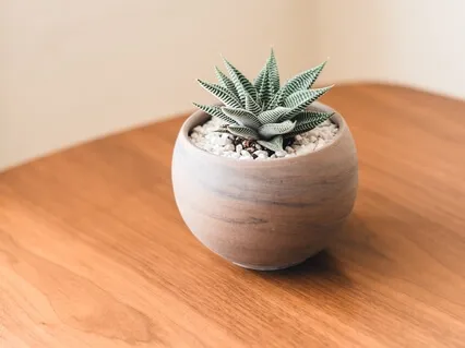 Germaphobes: I Am Clean - Positive Affirmation Meditation During COVID-19