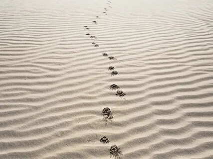 Gesture Of Peace | An Ambient Mix