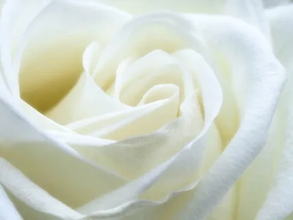 Get Closer To Your Ideal Lover - Guided Practice