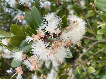 Get Comfortable In Your Body!