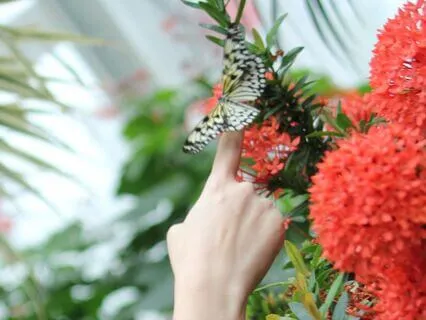 Get Control Of Your Finances