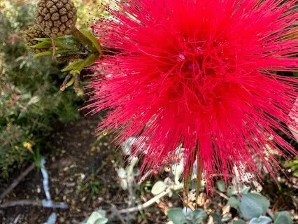 Get Courageous and Be Your Best!