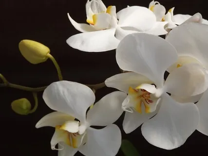 Get Grounded With A Bit Of Movement