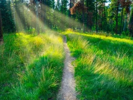 Get Grounded & Present