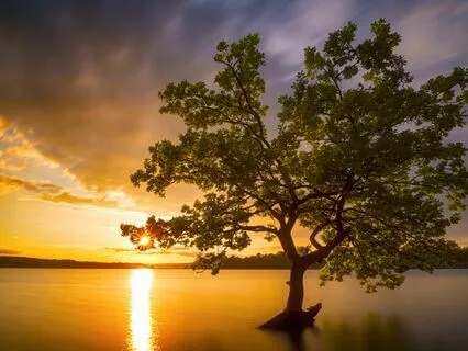 Get Grounded, Clear, And Nourished With Elements Of Nature