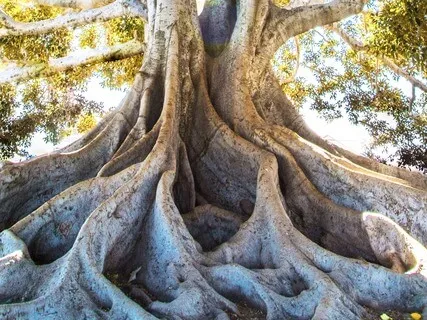 Get Grounded Quickly