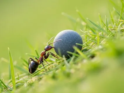 Get It Done Without Pushing Yourself