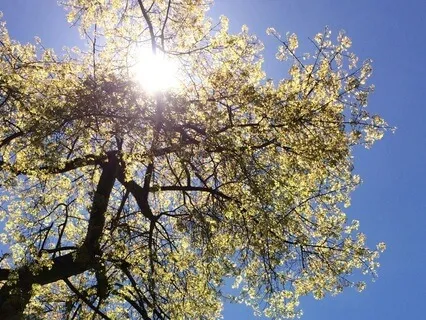 Get Out Of The Dumps