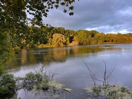 Get Out Of Your Head