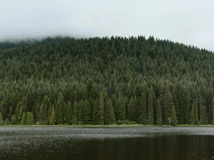 Get Out Of Your Own Way