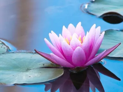 Get Out Of Your Thoughts