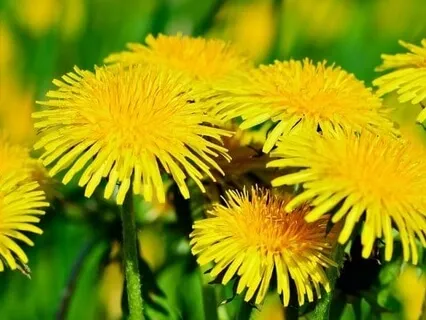 Get Over Someone Guided Visualisation