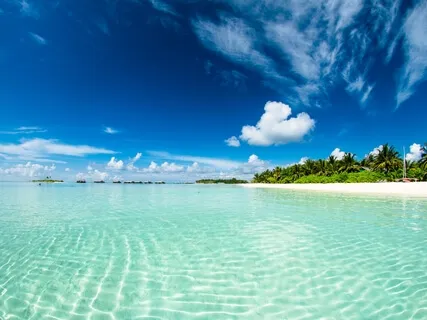 Get Relaxed & Nourished 