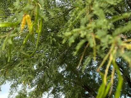 Get Relaxed In 5 Minutes