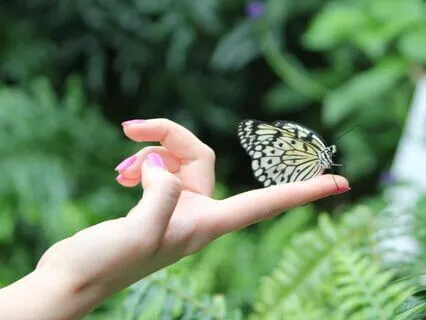 Get Rid Of Negative Thoughts