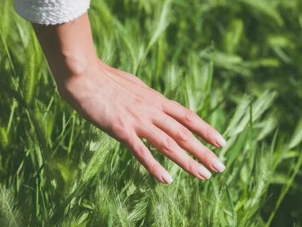 Get To Know 'See, Hear, Feel'