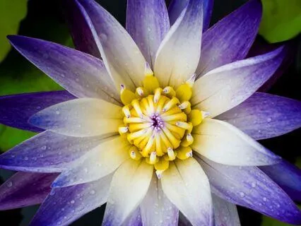 Get To Know Your Embodied Power