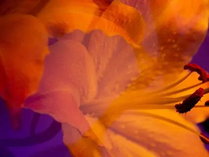 Get To Know Your Frequency