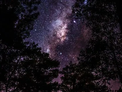 Get to Sleep In 10 Minutes