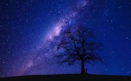 Get to Sleep In 11 Minutes