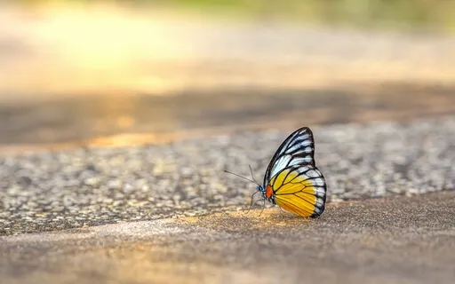 Get Unstuck: Empower Yourself To Receive Your Heart's Wishes