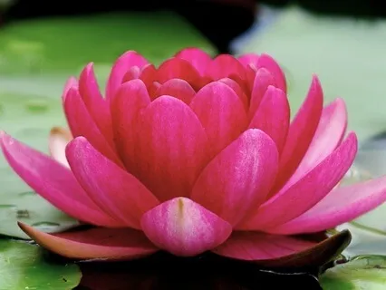 Get Unstuck | Guided Visualization