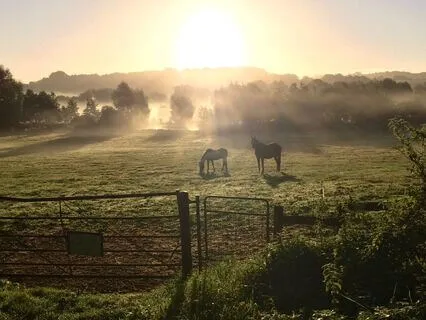 Get Up And Go: Morning Motivation