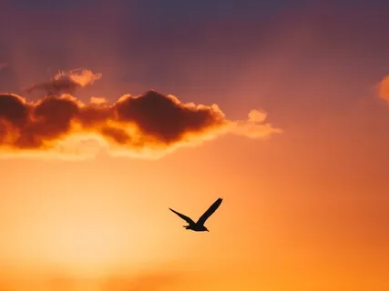 Getting a Good Night's Sleep Part 2