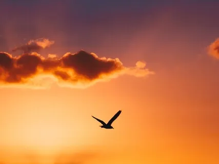 Getting a Good Night's Sleep Part 5