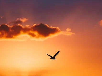 Getting a Good Night's Sleep Part 6