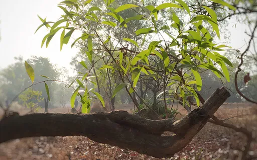 Getting Acquainted, For A Beginner