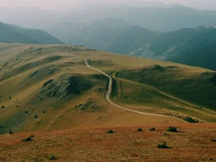 Getting Back On Track