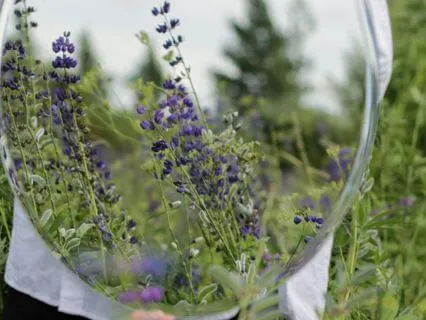 Getting Beyond Blame || Alignment