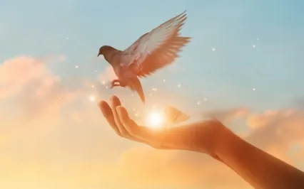 Getting Closure From Relationships Without Speaking To Them 