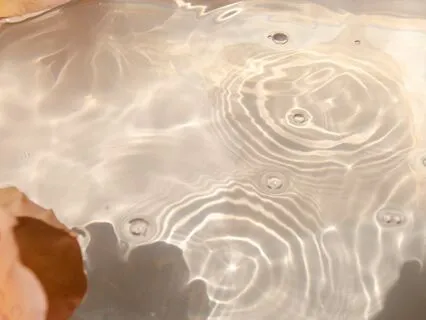 Getting Familiar With The Feeling Tone Of Sensations