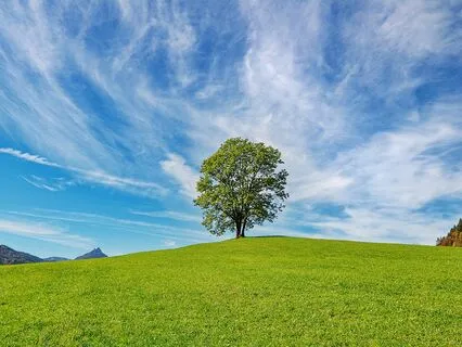 Getting Good At Getting Through High Stress