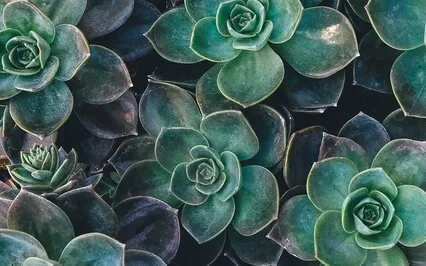 Getting Help To Move Forward