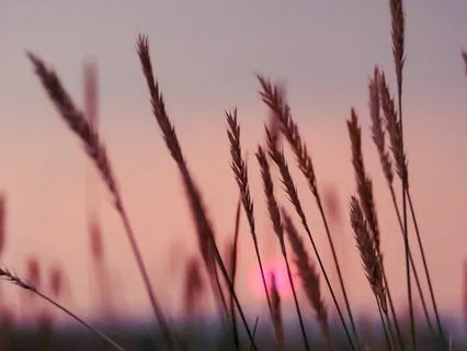 Getting Into A Wealth Mindset