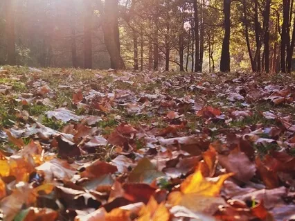 Getting Motivated For Change: A Guided Exercise