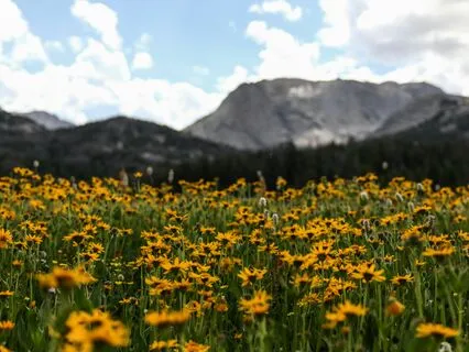 Getting Out Of The Head And Into The Body