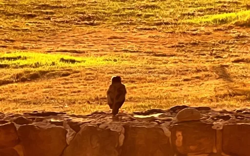 Getting Out Of Your Own Way