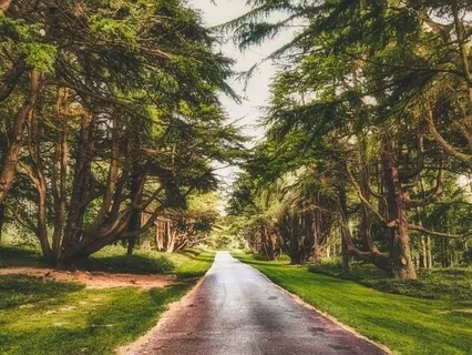 Getting Out Of Your Ruts And Into Bewilder