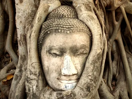 Getting Started With Meditation