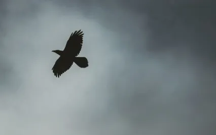 Getting Through Hard Times 