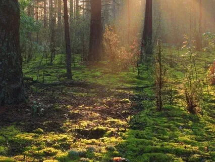 Getting To Know My Demons