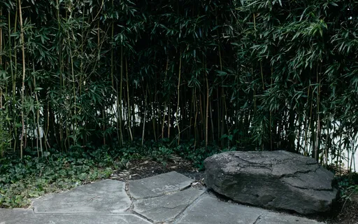 Getting To Know The Parts Of Us That Are Suffering